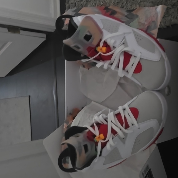 Jordan retro 6 Hares New